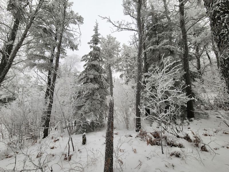 Best Times To Visit And Getting There