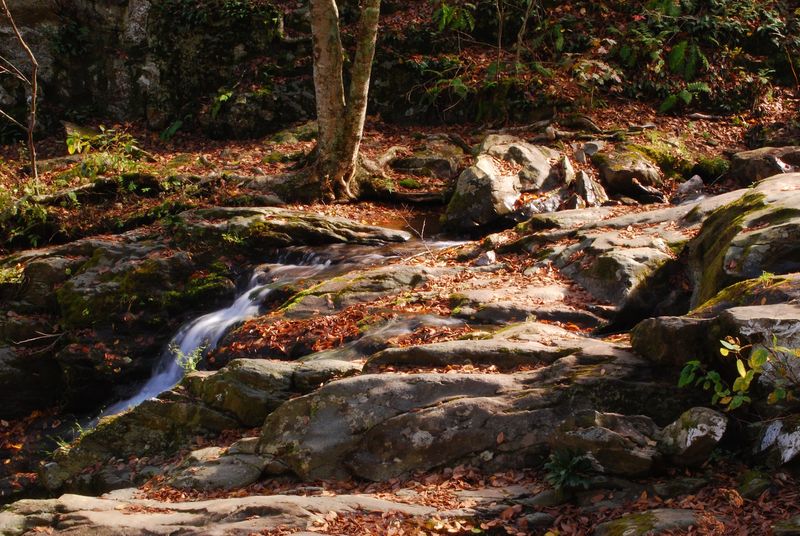 Trail Etiquette And Rules Every Visitor Should Know