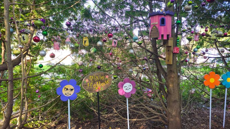 The Story Behind The Fairy Forest