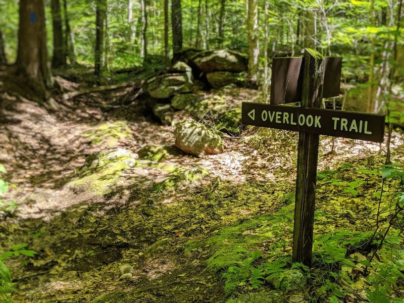 This Is Where Curiosity Gets A Proper Welcome