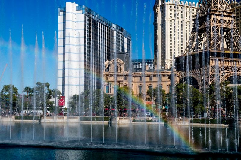 What Surrounds The Lake