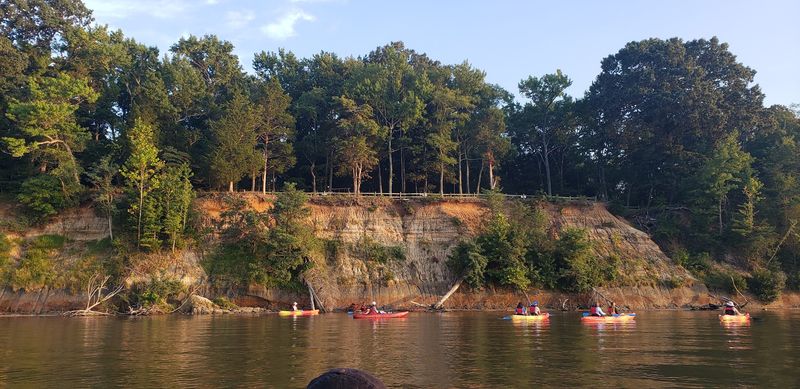 Ranger Programs That Bring The Park To Life