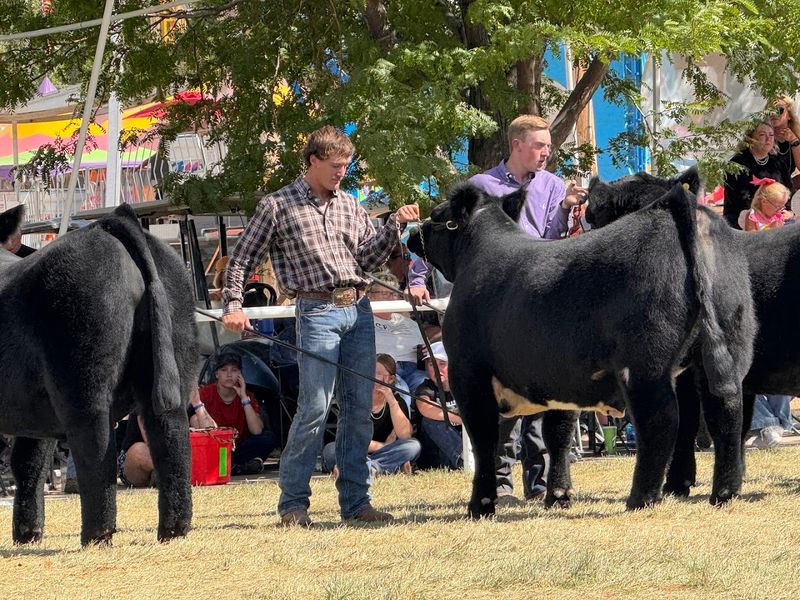 The Wyoming State Fair Comes Home Here Every Year