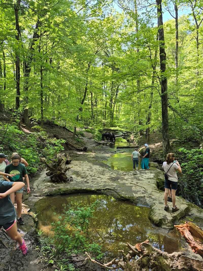 The Trail Itself And What To Expect Underfoot