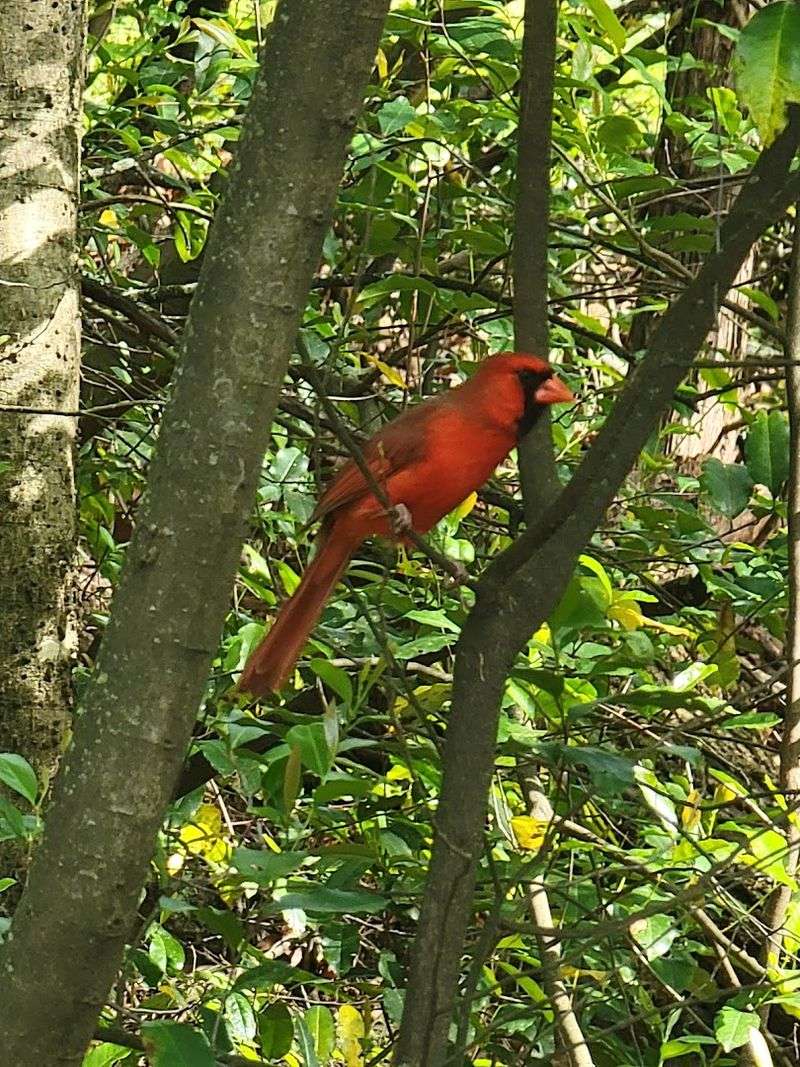 National Park Right In The Backyard