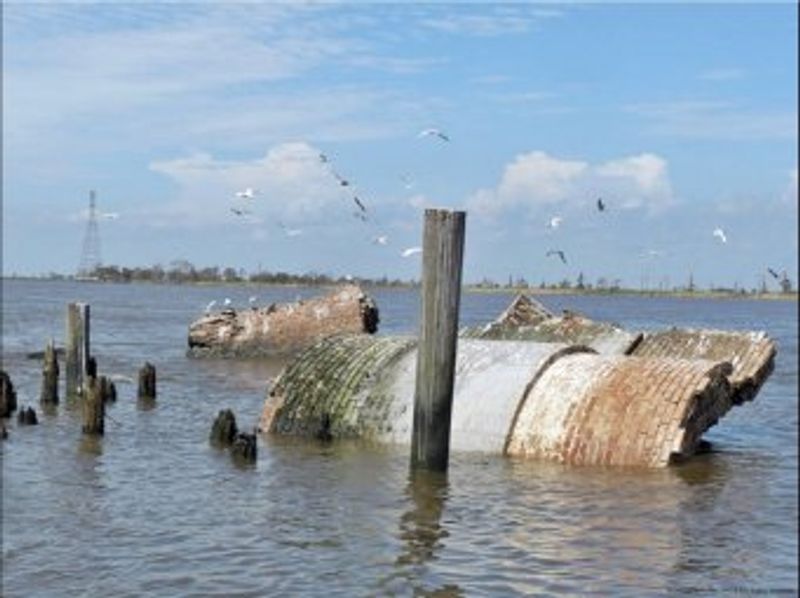 A History Written In Water And Moss