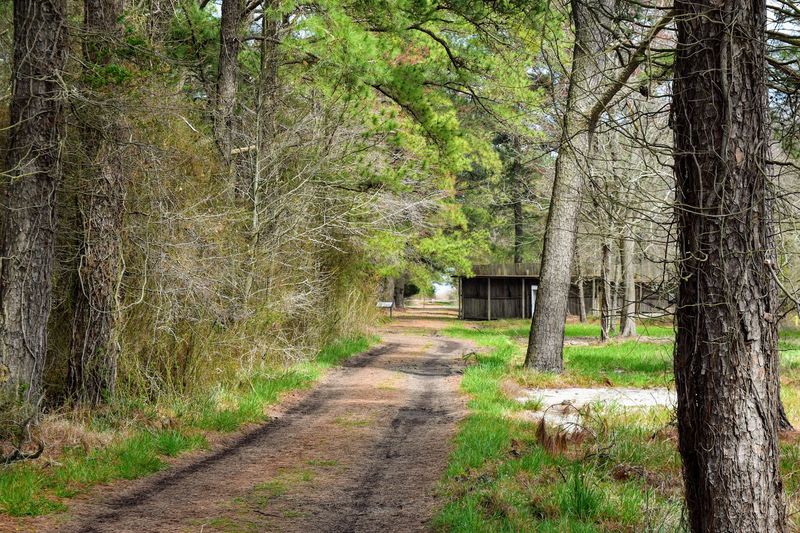The Man In Ragged Civil War Clothes