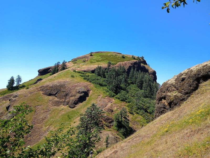 Saddle Mountain State Natural Area