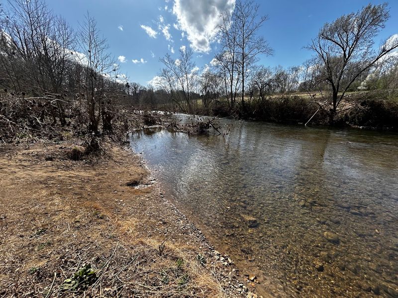 Paddling Through A Living City