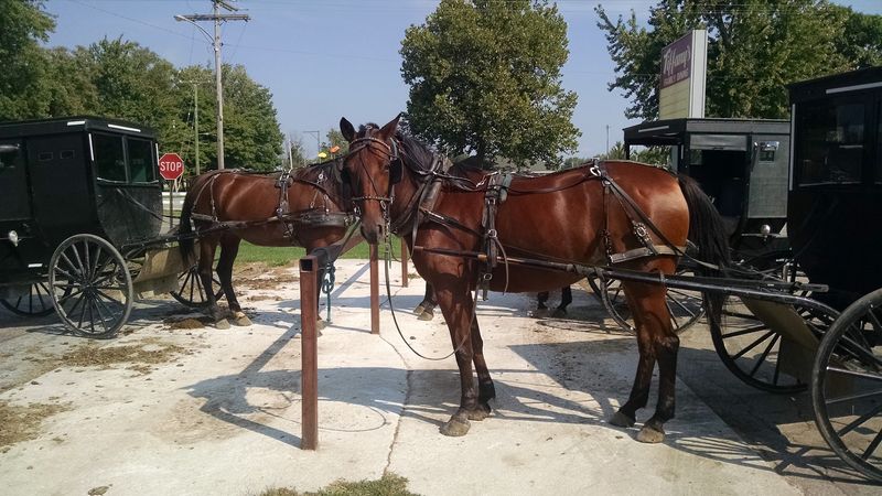 Exploring Topeka And The Surrounding Amish Country