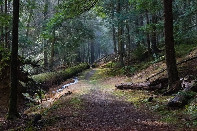 Practical Tips For Making The Most Of Your Visit