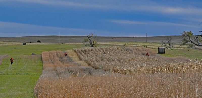 The Wide Open Prairie That Becomes Your Backyard