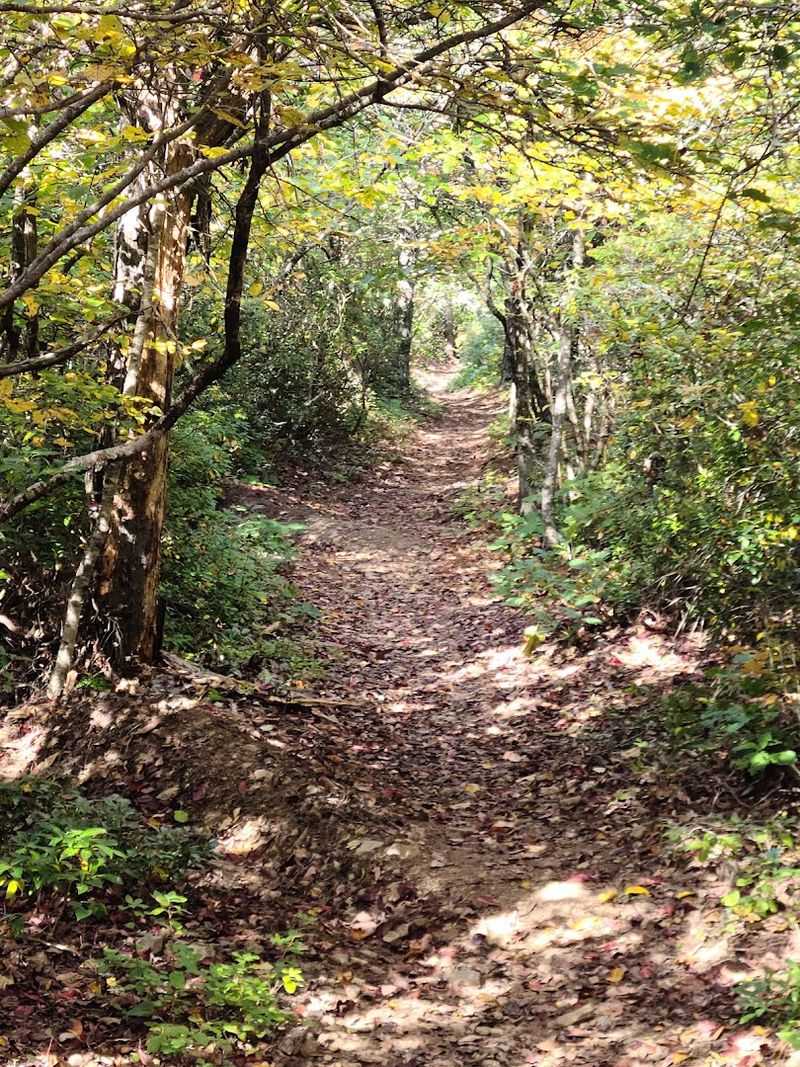 Fog, Mist, And The Mountain's Moody Weather