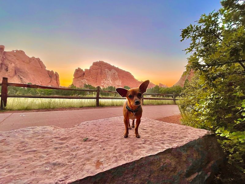 The Magic Of Visiting At Golden Hour