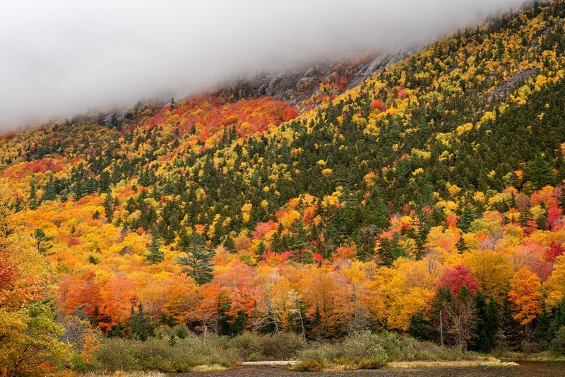 Crawford Notch State Park