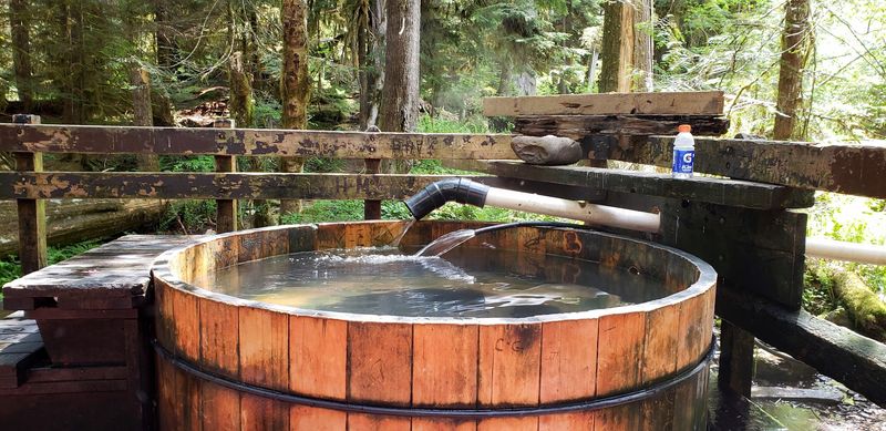 Timing Your Visit Right