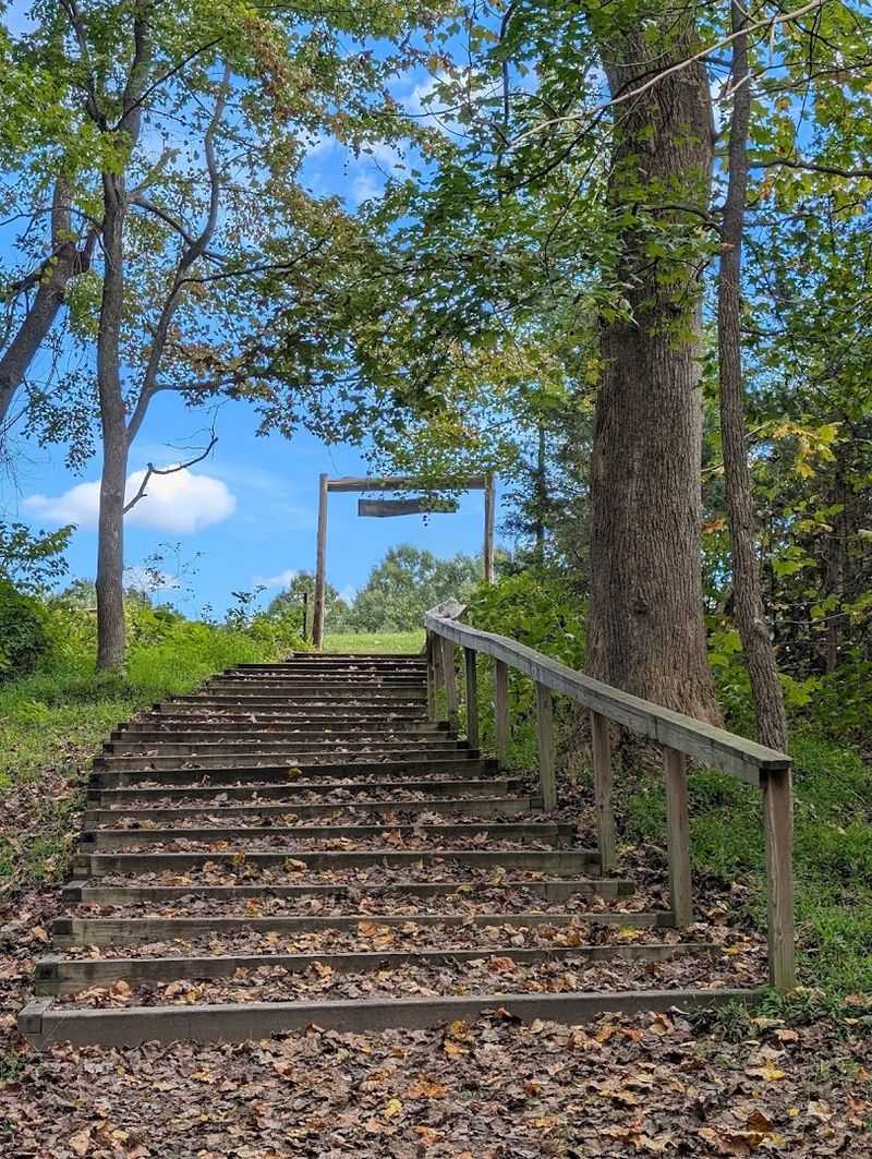 When To Visit For The Best Experience