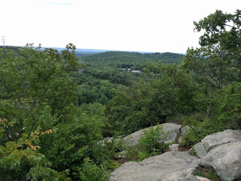 The History Carved Into Every Boulder
