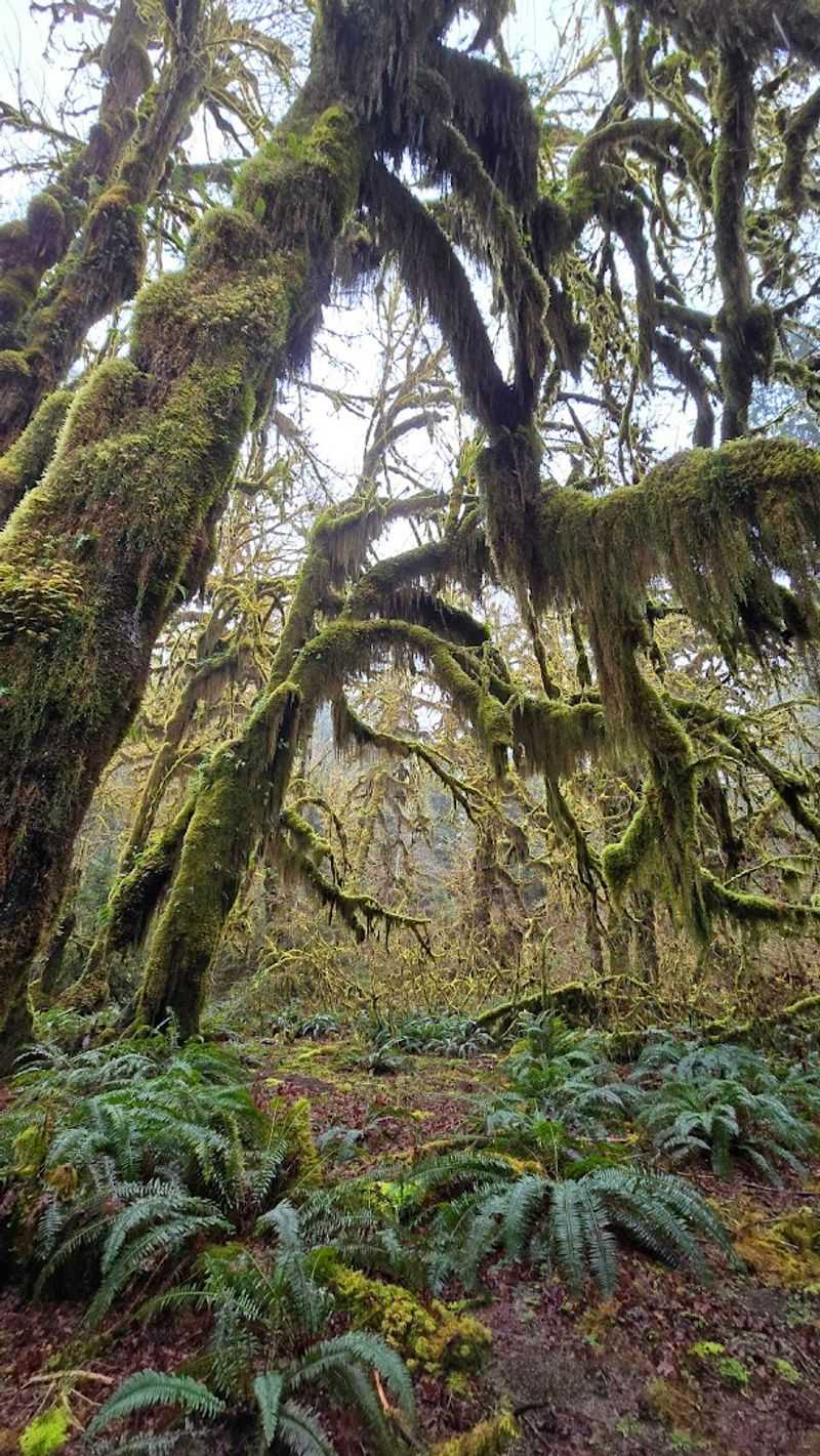 Best Times To Visit And What To Expect