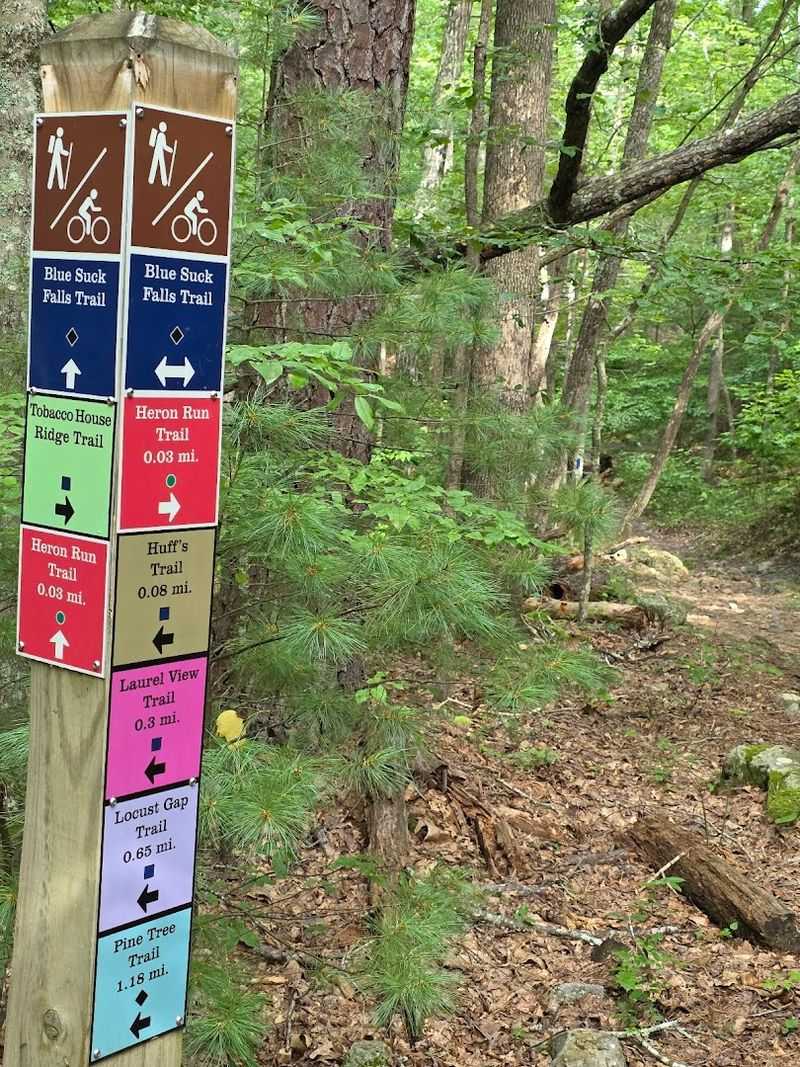 Fall Color That Redefines The Word Scenic