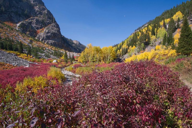 Hiking Trails Worth Every Step