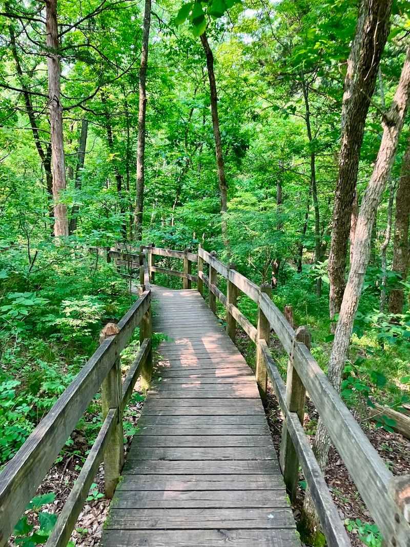 Maximizing Your Experience At The Park