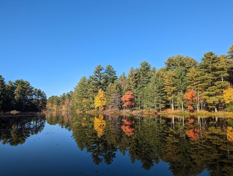 Fall Foliage That Earns The Drive
