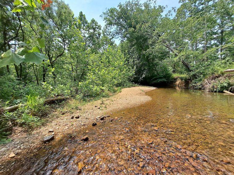 Family-Friendly Features Worth Knowing Before You Go