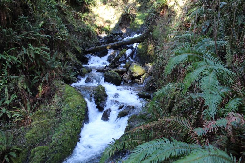 Footwear And Gear That Actually Make A Difference