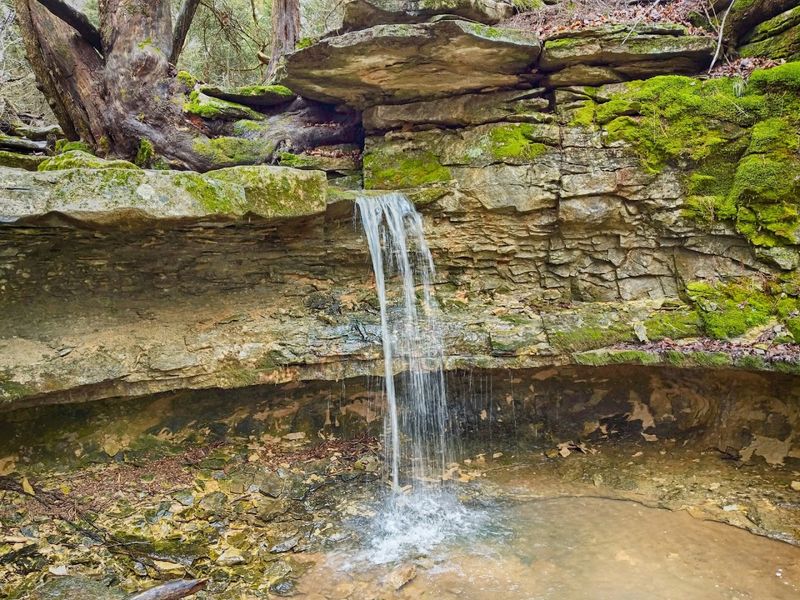 Why This Place Deserves A Spot On Your Indiana Bucket List