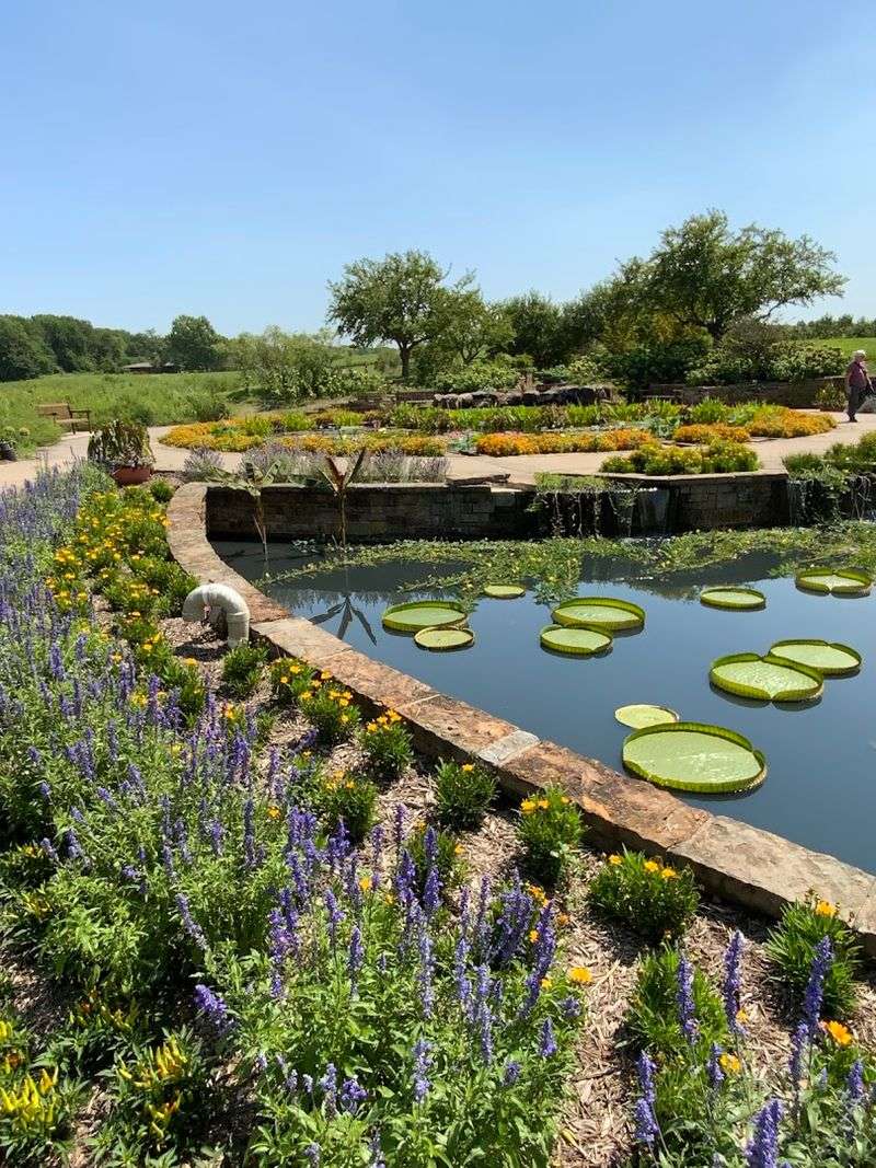 A Tropical Escape In Missouri