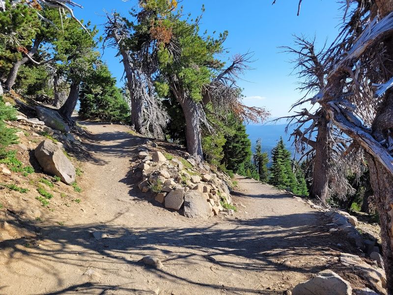 Hiking Trails For Every Kind Of Adventurer