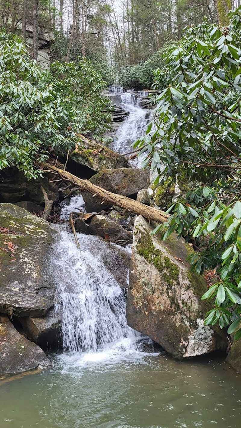 Butcher Branch Falls