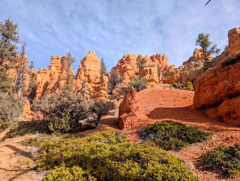 Losee Canyon Trail, Dixie National Forest