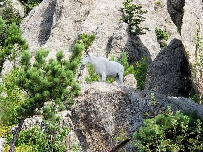 Why This Trail Deserves A Spot On Your Bucket List