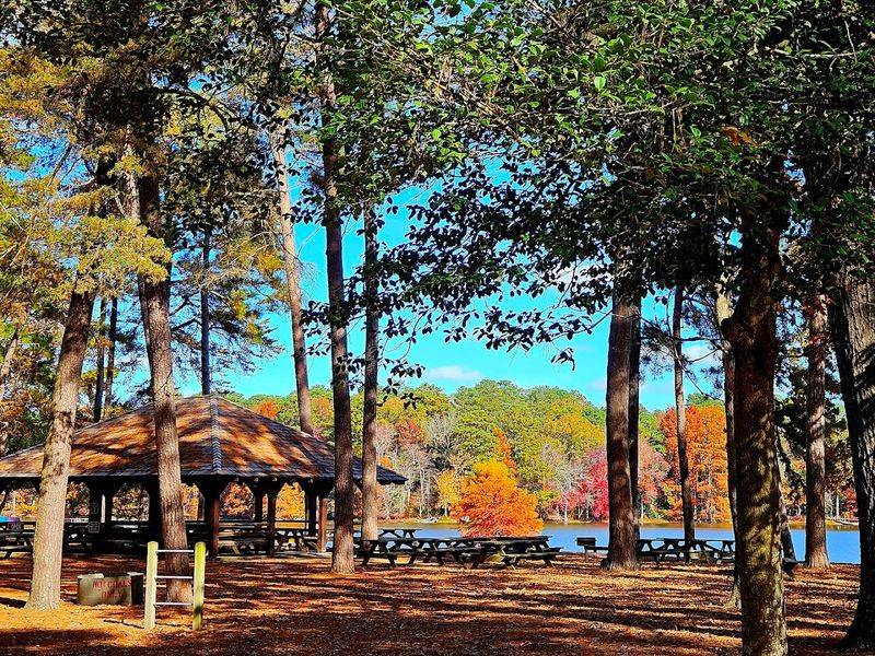 Trap Pond State Park