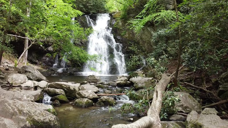 Spruce Flats Falls Trail