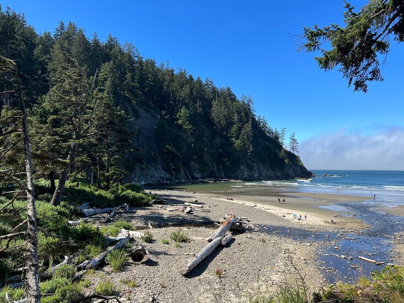 Short Sand Beach, Oswald West State Park