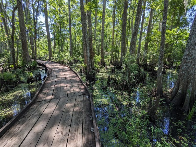 Barataria Preserve, Marrero
