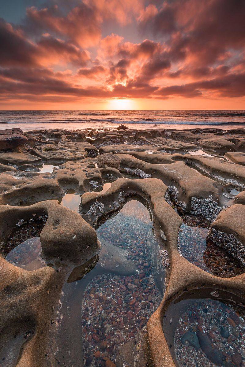 La Jolla Tide Pools