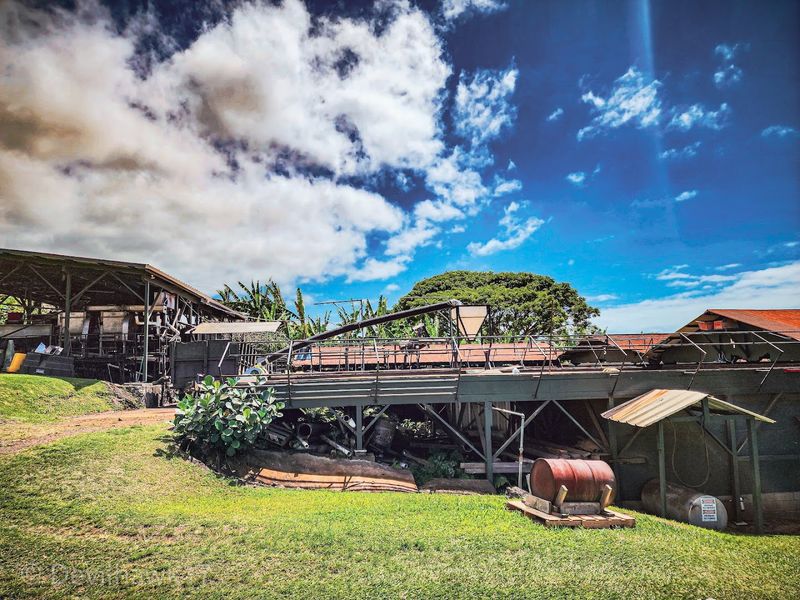 Greenwell Farms