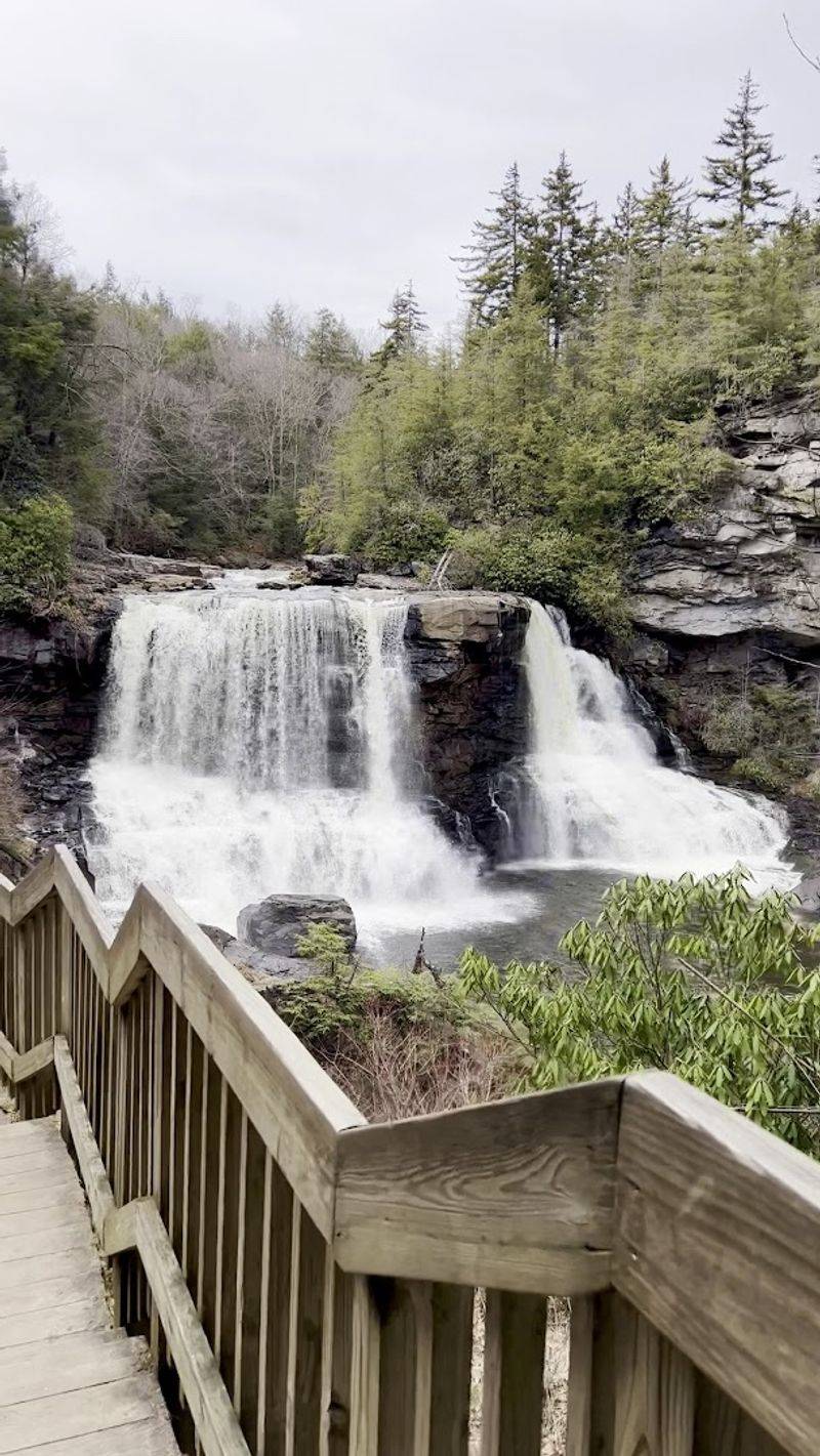 Blackwater Falls State Park