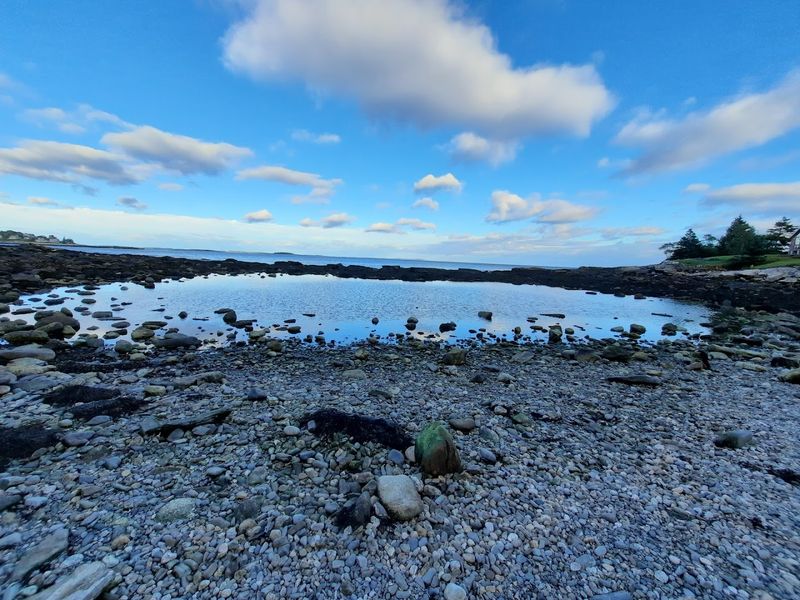 Rachel Carson Salt Pond Preserve