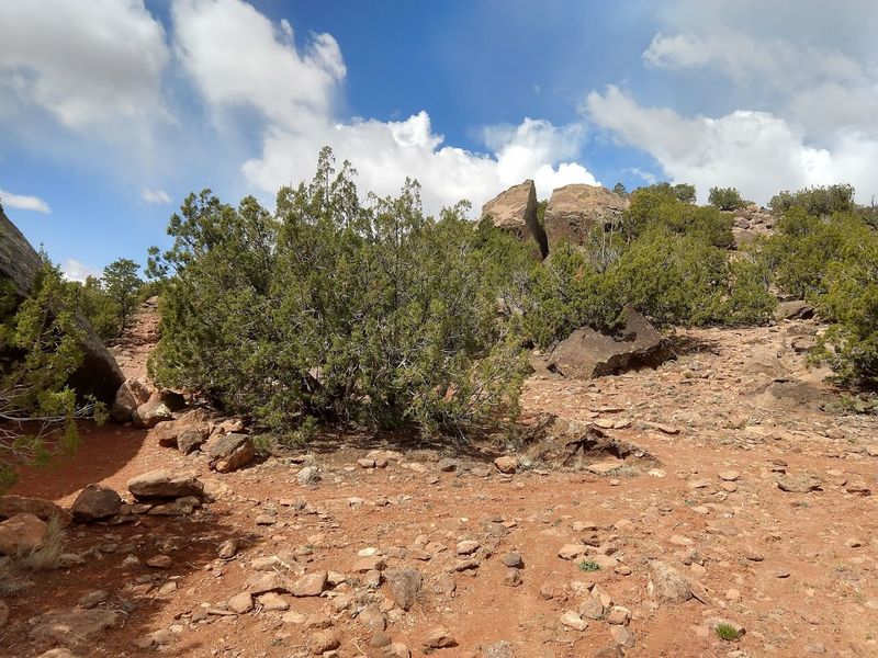 Volcanic Rock Formations Along the Trail