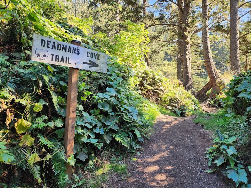 The Hike Down