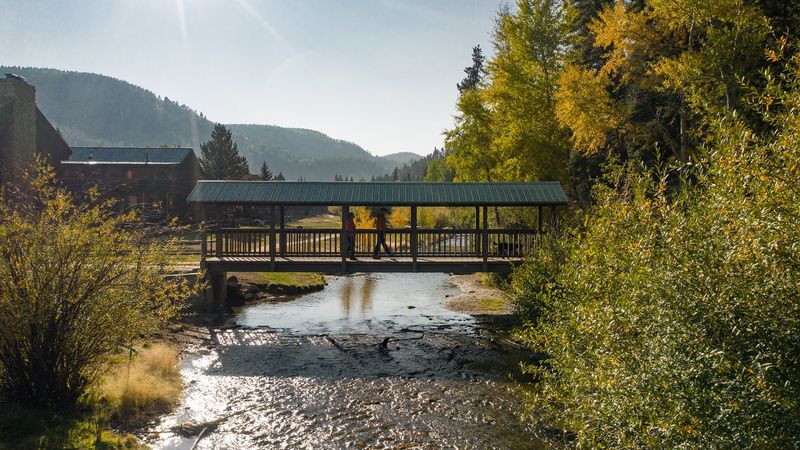 Forest Paths And River Air