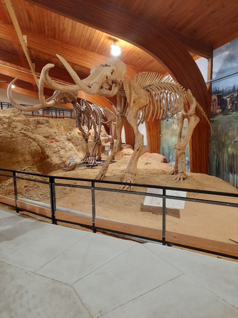 The Mammoth Site Is Unlike Anything Else