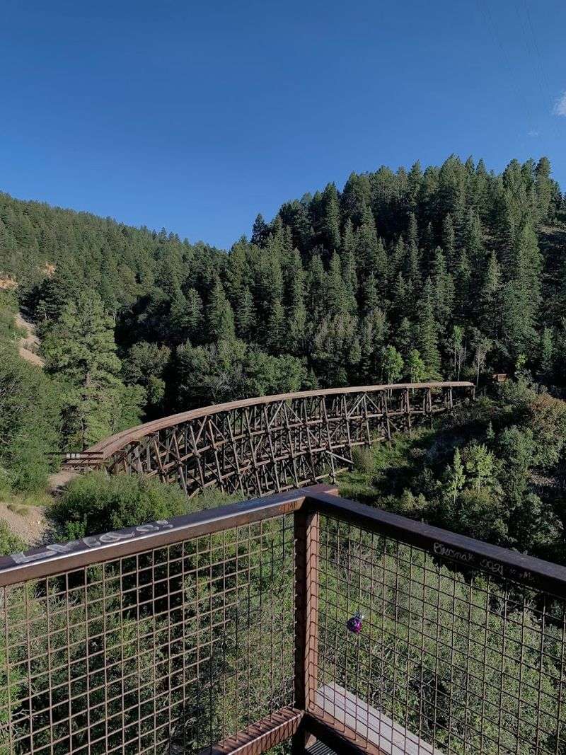 Towering Timbers Above The Canyon