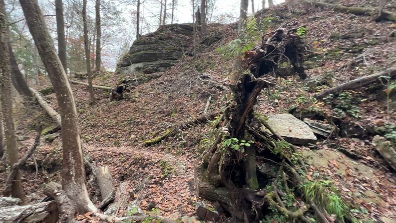 What The Trail Looks Like