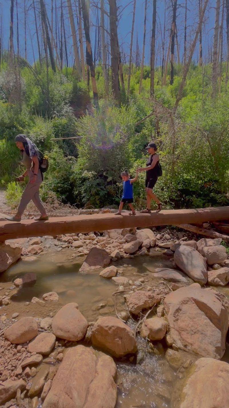 Log Bridges And Stream Crossings That Make The Adventure Real